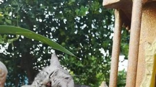 ขำๆ ฮาๆ ตลกๆ วันอังคาร!!🤣