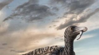 จีนประกาศพบรอยเท้าไดโนเสาร์ที่ใหญ่ที่สุดในโลก!