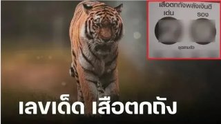 เลขเด็ด "เสือตกถัง พลังเงินดี" งวด 1 ตุลาคม 67..รู้ก่อน รวยก่อน!