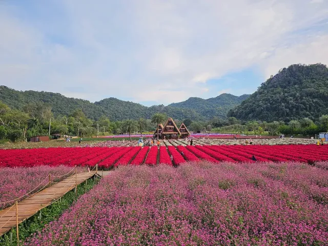สวนดอกไม้ Hokkaido Flower Park Khaoyai