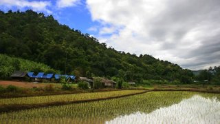 เวียดนามและไทยตั้งเป้า เพิ่มการส่งออกข้าวไปญี่ปุ่น