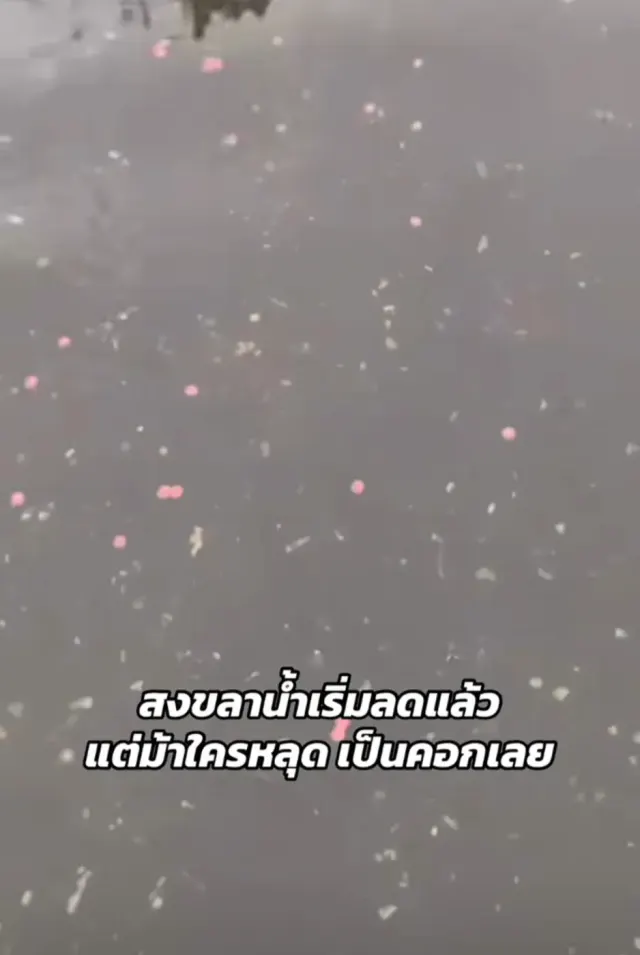ป.ป.ส. ชี้แจงคลิป 'ยาบ้าลอยน้ำ' ยืนยันไม่ใช่ยาเสพติด เป็นอาหารนกเอี้ยงที่ถูก นำมาสร้างคอนเทนต์ สรุปคลิปยาบ้าลอยเกลื่อนเป็น คลิปสร้าง Content