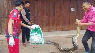 สะพรึงงูเหลือมยักษ์โผล่คาหลังคา! เจ้าของบ้านขนลุกซู่ ...คอหวยแห่ซูมทะเบียนบ้าน-น้ำหนัก ลุ้นรวยงวด 1 มี.ค.69