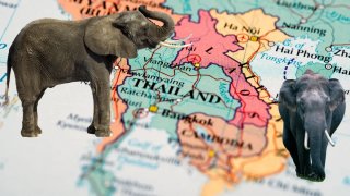 เปิดตำนาน 8 จังหวัด "ตราสัญลักษณ์รูปช้าง": เรื่องราวความผูกพันจากอดีตสู่ตัวตนคนบนแผ่นดิน