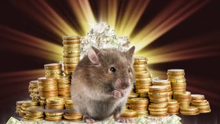 เลขเด็ดอาจารย์หนู งวดวันที่ 1 เมษายน 2569: แนวทางมงคลเน้นบน-ล่าง