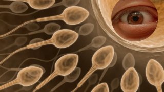 ไขข้อสงสัย! เมื่ออสุจิ "พุ่งพลาด" เข้าตา ต้องปฐมพยาบาลอย่างไร? และทำไมพวกมันถึงตายเรียบในพริบตา