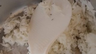 มดขึ้นข้าวสวย: กินต่อได้หรือควรทิ้ง? ไขข้อข้องใจพร้อมวิธีจัดการให้ปลอดภัย