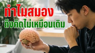 ทำไมเวลามีอารมณ์ทางเพศ สมองถึงทำให้เราคิดไม่เหมือนตอนปกติ