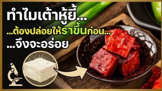 ปริศนาเต้าหู้ยี้ ทำไมต้องปล่อยให้ขึ้นราก่อน ถึงจะกลายเป็นความอร่อยระดับตำนาน