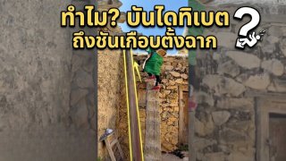 "บันไดทิเบต": ทำไมต้องชันดิ่งเกือบตั้งฉาก?