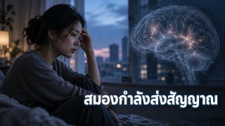 ภาวะซึมเศร้ากระทบการปรับตัวของสมองอย่างไร