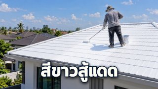 สีขาวสะท้อนความร้อนของเพอร์ดูทำงานอย่างไร