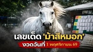 เลขเด็ด "ม้าสีหมอก" งวดวันที่ 1 พฤศจิกายน 69 วิ่งมาให้โชคแล้ว..ส่องด่วน!