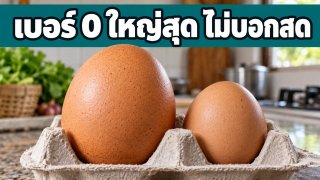 ไข่เบอร์ 0 ฟองใหญ่สุด เลขบนแผงบอกขนาด ไม่ได้บอกความสด