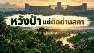 ลูลาได้กลับมาเป็นประธานาธิบดีบราซิลอีกสมัย: ทำไมกลุ่มอนุรักษ์ป่าดีใจ แต่ยังมองว่าสภาเป็นโจทย์ใหญ่?