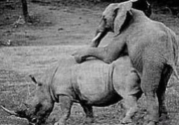 รูปภาพ ตลกๆ
ทำอะไรกันเนี่ย! ไม่อายผีสางนางไม้กันรึไง