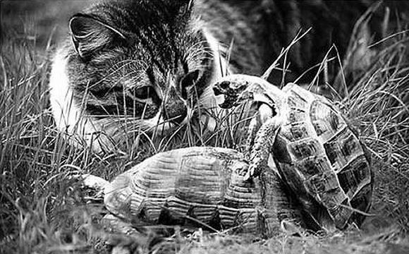 รูปภาพ ตลกๆ
ทำอะไรกันเนี่ย! ไม่อายผีสางนางไม้กันรึไง