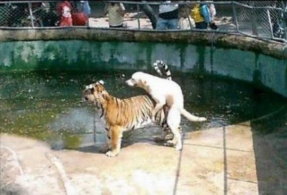 รูปภาพ ตลกๆ
ทำอะไรกันเนี่ย! ไม่อายผีสางนางไม้กันรึไง