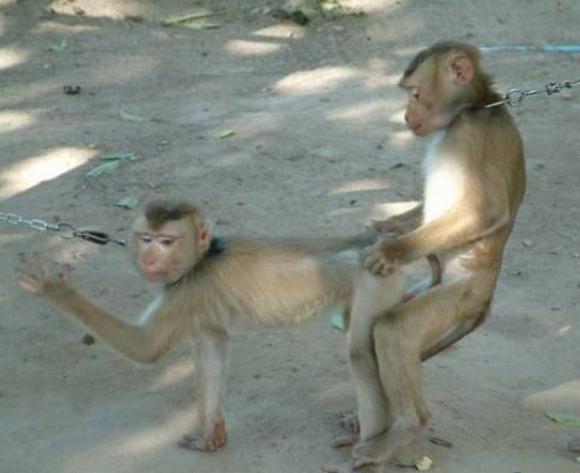 รูปภาพ ตลกๆ
ทำอะไรกันเนี่ย! ไม่อายผีสางนางไม้กันรึไง