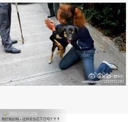A CALL >> "ร้องขอชีวิต" 
"Begging for her best friend's life" 
[English and Chinese version please see below]

หญิงชาวจีนคนนี้กำลังร้องขอกราบไหว้เจ้าหน้าที่ไม่ให้ฆ่าสุนัขของตนเอง เนื่องจากกฎหมายจีนที่ห้ามเลี้ยงสุนัข ที่มี น้ำหนักเกิน กำหนด (ตัวใหญ่เกินกำหนด) ผลสุดท้ายก็ไม่สามารถช่วยน้องหมาที่เปรียบเสมือนครอบครัวของเธอได้ น้องหมาได้ถูกตีตายในที่สุด ...นี้คือประเทศจีน

A CALL >> ลากจากอก ตีให้ตายต่อหน้าเจ้าของ ฆ่ากันให้ตายไปข้างนึงเลยดีกว่า กฏหมายเลวๆแบบนี้ 

A Chinese woman was begging Chinese officers on her knees not to kill her dog as their law indicated that the government didn't allow people to have big size dog. Heartbreakingly, no matter how much she had tried and cried, she couldn't save her dog's life. THE DOG WAS BEATEN TO DEATH IN FRONT OF HER!! THIS IS CHINA!!! GO TO HELL SHAME ON YOU!!

每次看到這張圖片都想哭，爲了不讓城管打死她的狗，爲了保護她的家人，她只能給城管跪下來求饒，這是中國！！！





Photo credit and Chinese version by Ying Ying Tung 
Thai version by Silver Orchidee