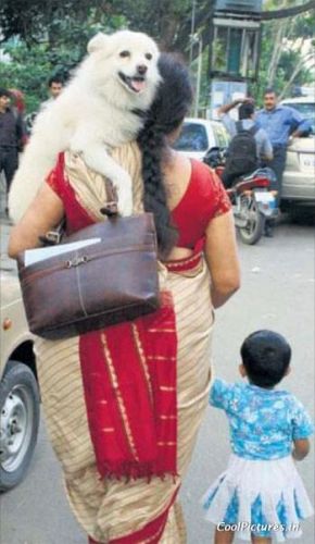 India Only อินเดีย