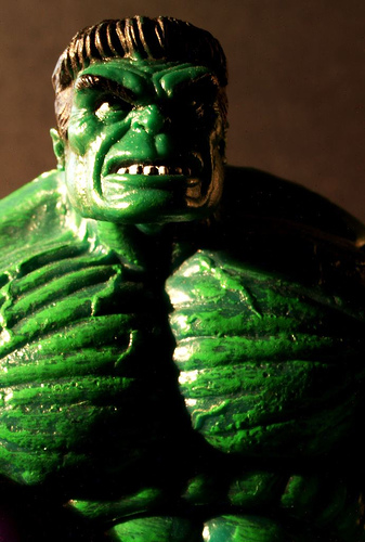 Macro Hulk by R_O_B_O.