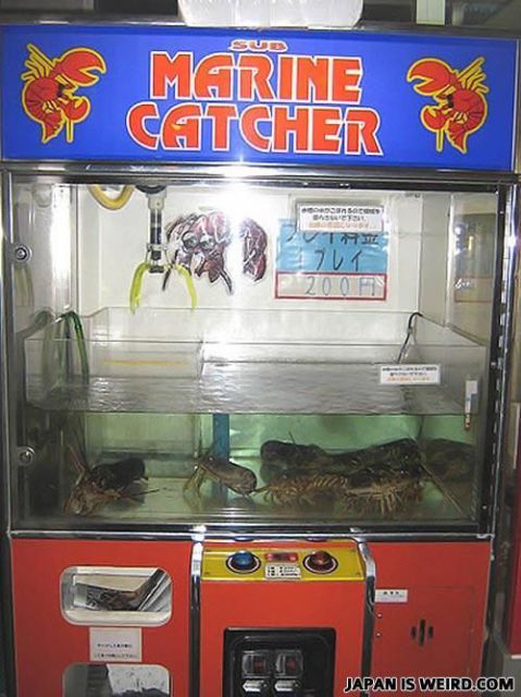 Only in Japan. Part 2 (45 pics)