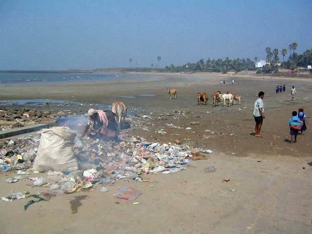 Only in India (72 pics)