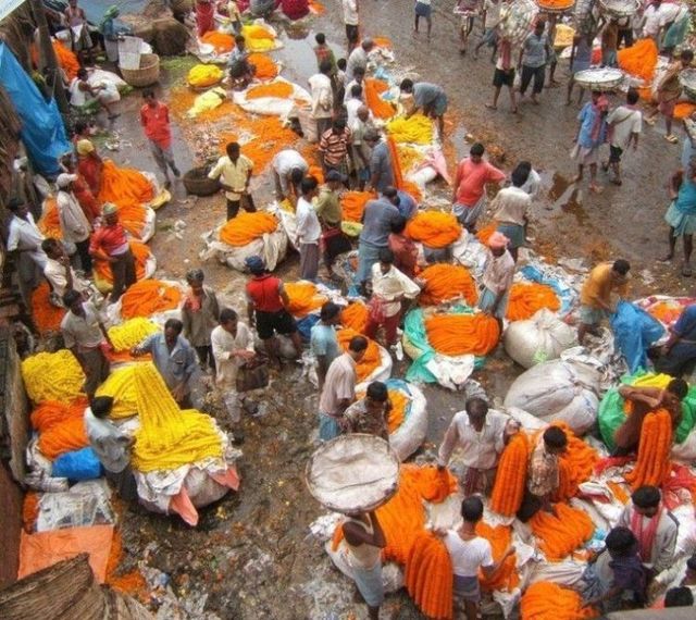 Only in India (72 pics)