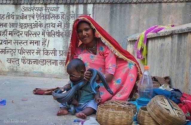 Only in India (72 pics)