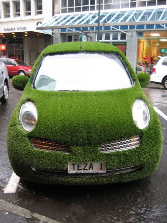 grass car รถแปลกจากทั่วโลก