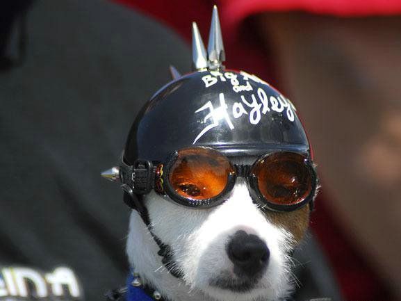 คลายเครียด 133 คลายเครียด 133 4 คลายเครียด 133