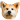 :dog4: