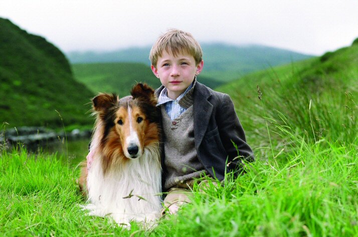 Lassie image