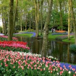 เนเธอร์แลนด์ ( Netherlands ) 1 ในประเทศที่น่าเที่ยว ที่สุดในโลก