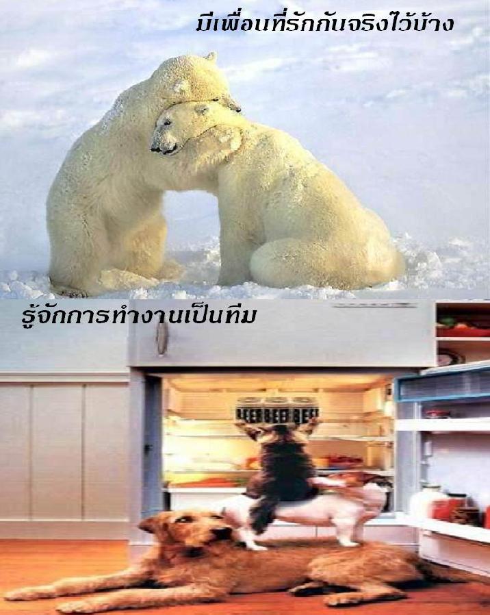 ทำอย่างไรให้ชีวิตมีความสุข  ^.^