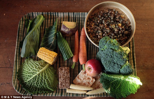 การให้อาหารเวลา: ราล์ฟช่วยให้น้ำหนักตัวของเขาขึ้นจากการช่วยตัวเองให้เมนูของวันละสองครั้งนี้