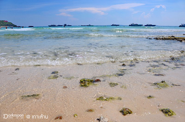 สงกรานต์นี้อีกแห่งที่น่าสน เกาะล้าน พัทยา สีสันแห่งทะเลอ่าวไทย