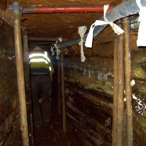 C_71_article_1014669_image_list_image_list_item_0_image