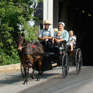 Amish3