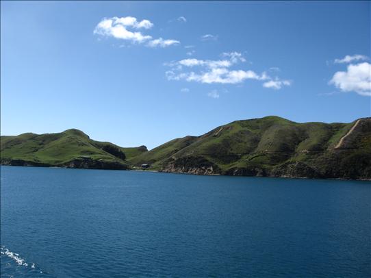 lonely_planet_top_10_cities_2011_wellington_02 lonely_planet_top_10_cities_2011_wellington_02