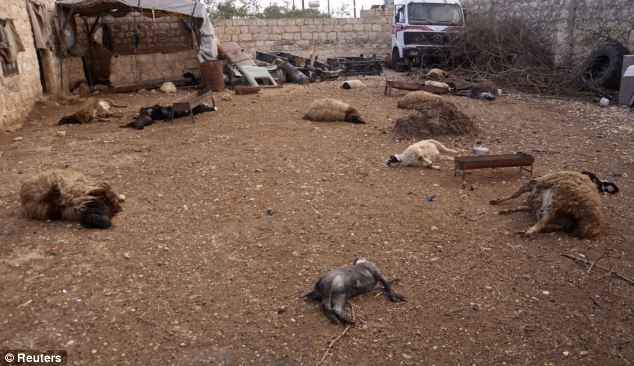 การเรียกร้องสด: ซากสัตว์อยู่บนพื้นดินที่ถูกฆ่าโดยสิ่งที่ชาวบ้านบอกว่าเป็นอาวุธเคมีโจมตีในวันอังคารที่ในพื้นที่ข่านอัล Assal ใกล้อาเลปโป