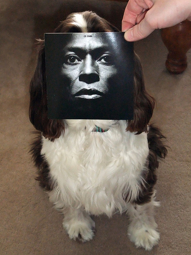 sleeveface_52 sleeveface_52