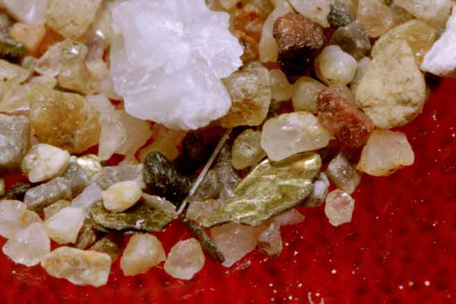 พระธาตุหลวงตาจากเถ้าอังคาร