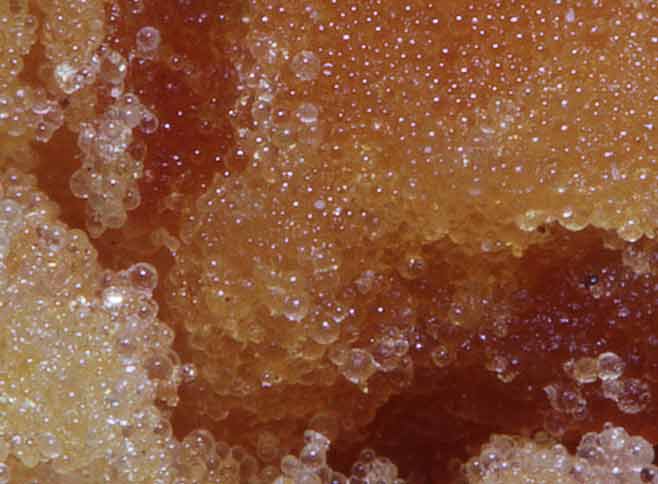 พระบุพโพธาตุ(น้ำเหลือง)