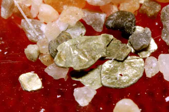 พระธาตุจากอัฐิเถ้าอังคารหลวงตามหาบัว