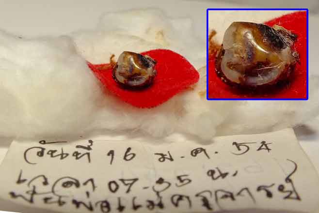 ทันตธาตุหลวงตามหาบัว