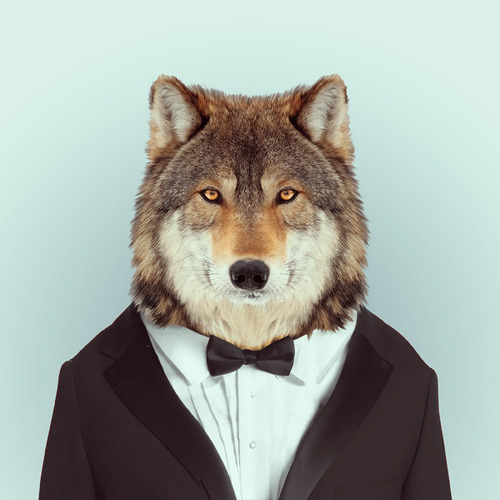 tumblr_mk4fytBskI1s7aky5o1_500