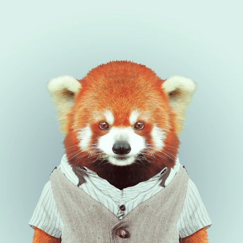 tumblr_mk8johDrPm1s7aky5o1_500
