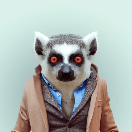 tumblr_mk9rs3Mmjh1s7aky5o1_500
